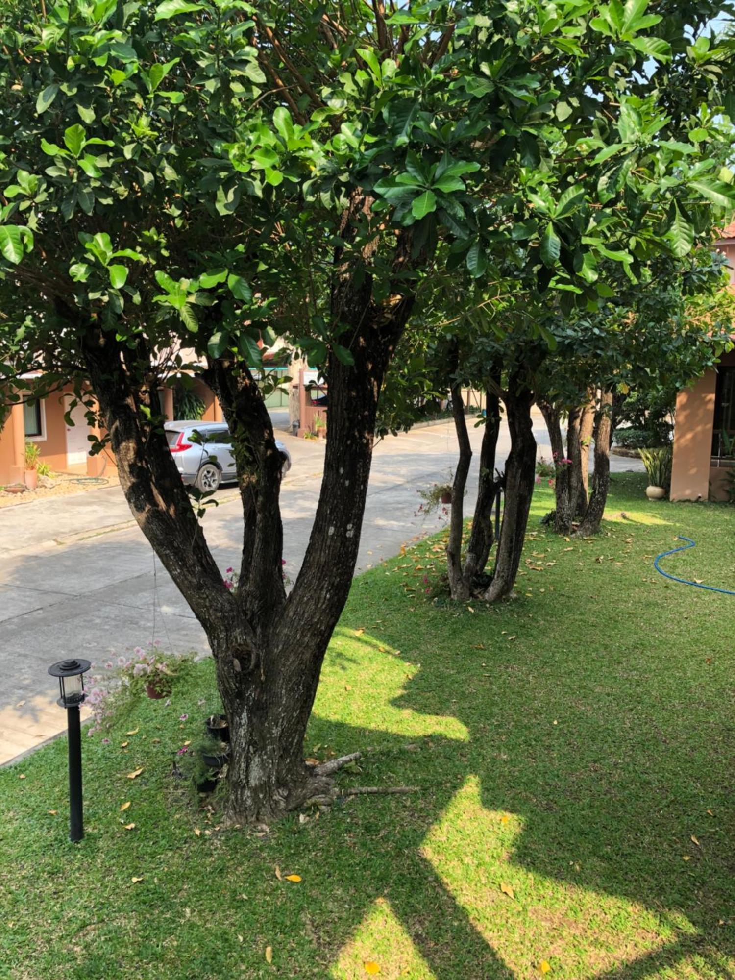 Areena Resort And Hotel Uttaradit Exterior foto